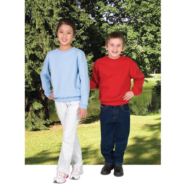 Kids Crew Neck Sweatshirt Thumbnail