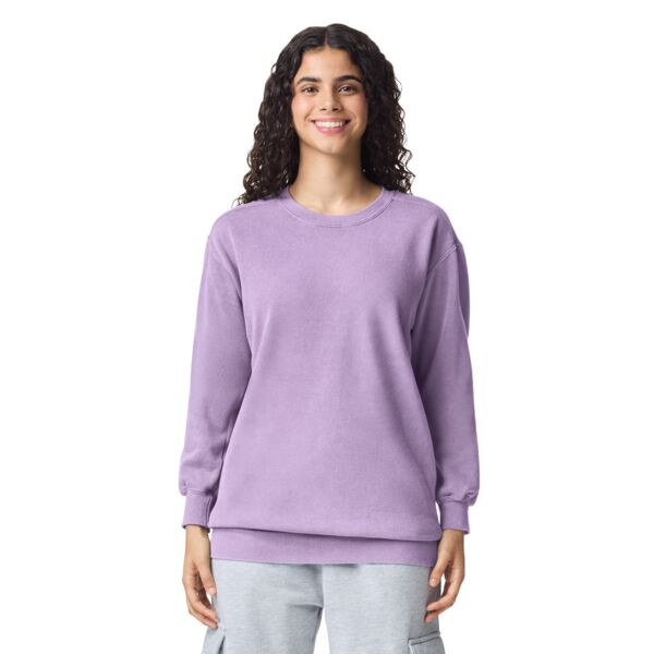 Crewneck Sweatshirt Thumbnail